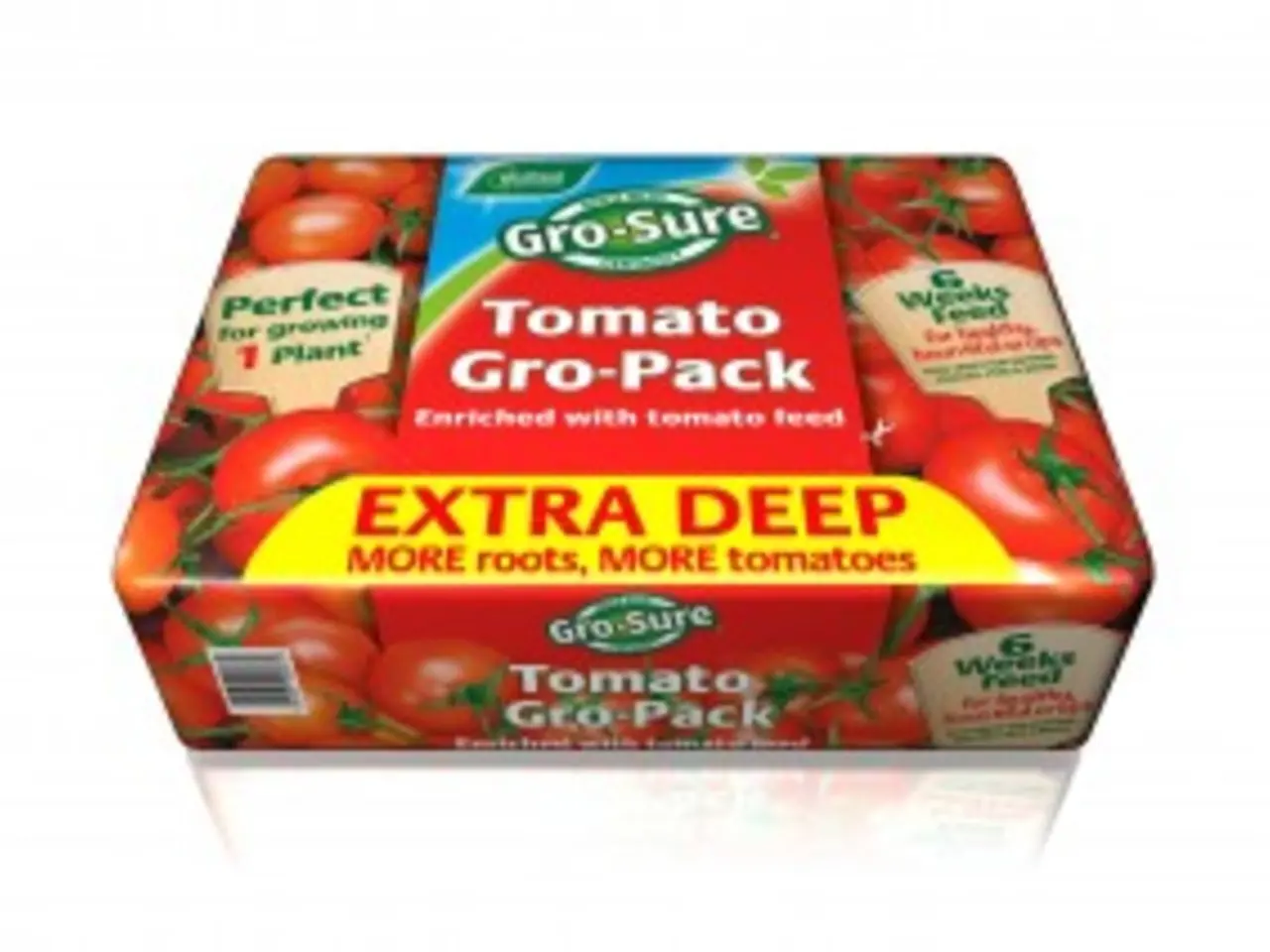 Instructions for Setting Up VirtualBox on a Windows System