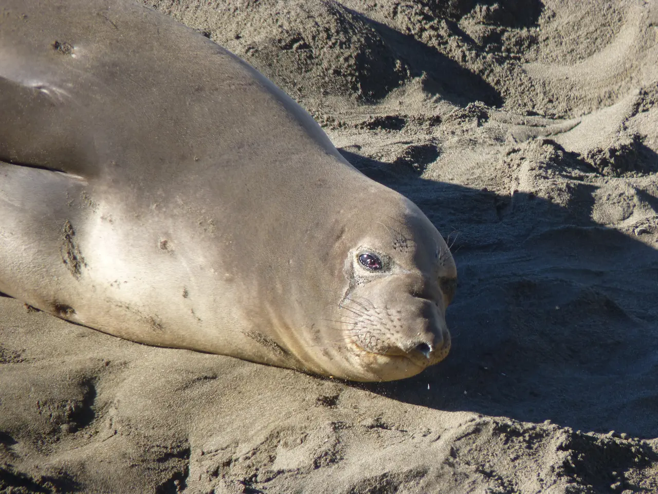 Obtaining and Applying the EPREL and Electronic Seal: A Guide