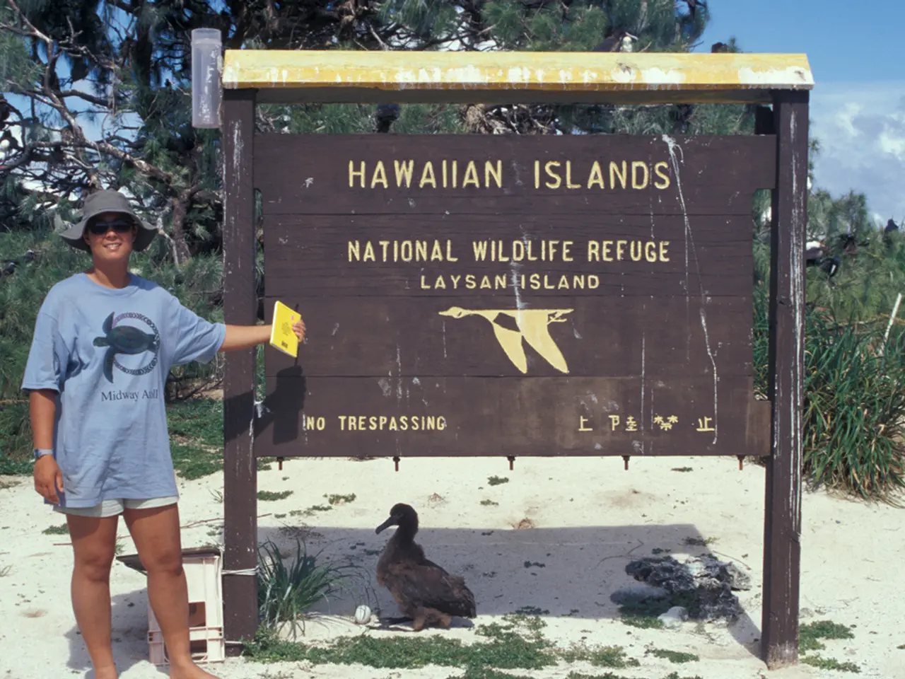 Comparison Query Operators in MongoDB Explained