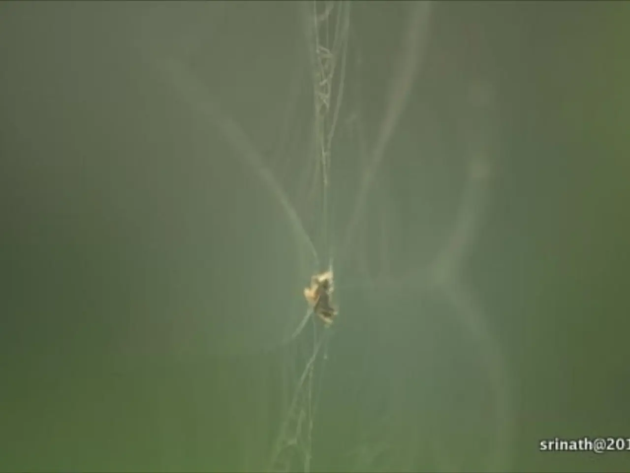 Urgent Chrome Update: Google Issues Patch for zero-day vulnerability - Verify your browser version...