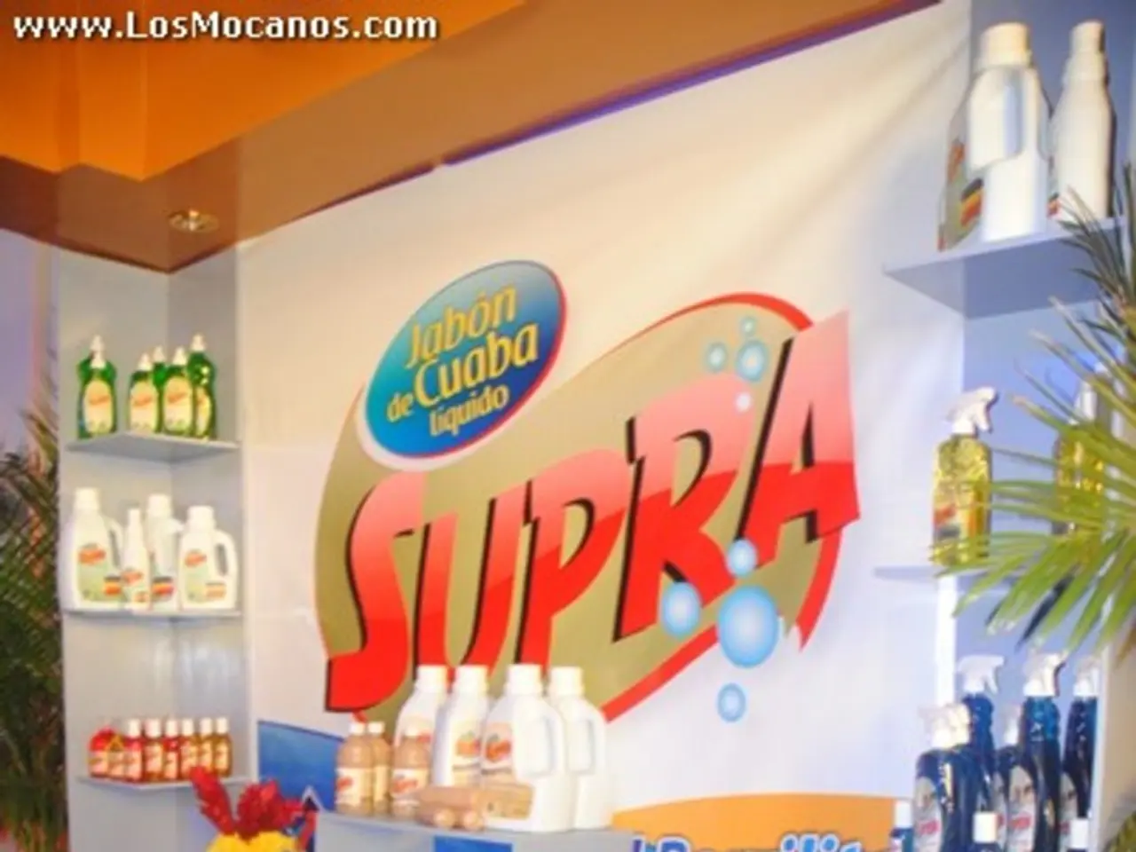 Refreshed Identity for Rhine-Kreis Neuss District Unveiled