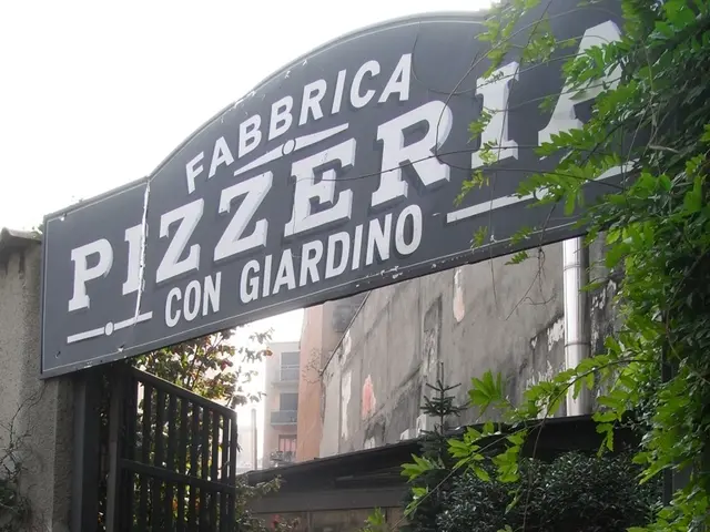 Diving into the Digital Universe: Exploring the Possible Paths of Virtual Reality's Development