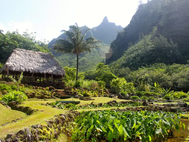 Advantages of Chiropractic Treatment for Car Crash-Related Hand Discomfort