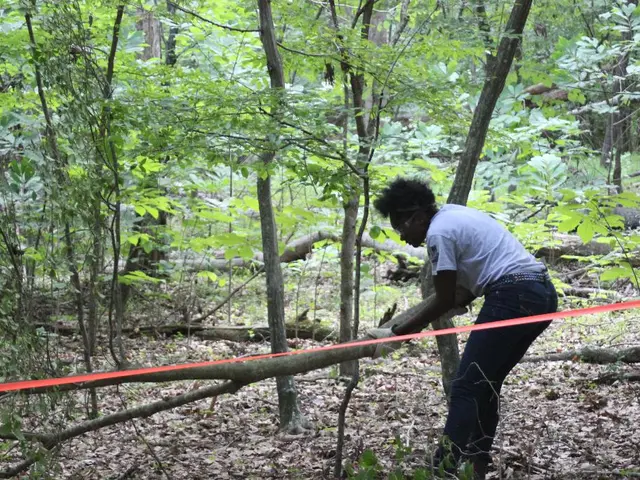 Methods for Completing Acts with Maximum Satisfaction