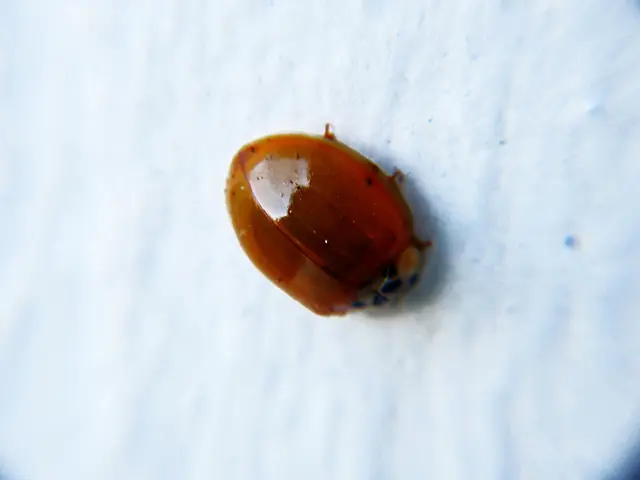 Gigabyte's top-tier RTX 50-Series Master GPU, plaguing even the founder of PowerGPU, with...