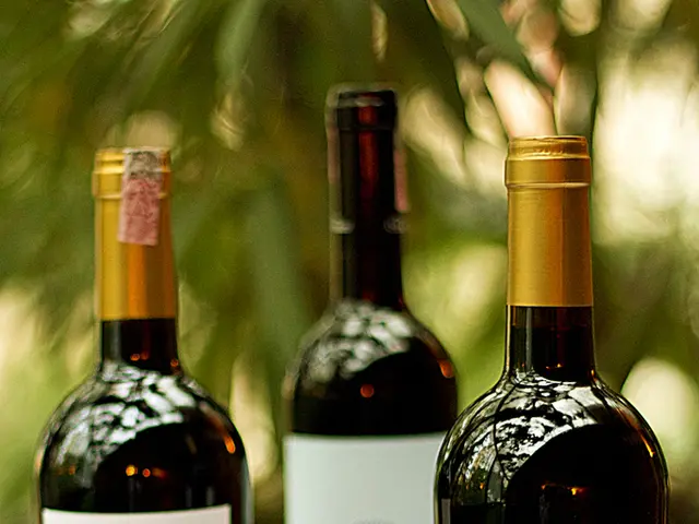 Revealing PaternityLab.com: A Reliable Provider of Precise and Secretive DNA Examination Services