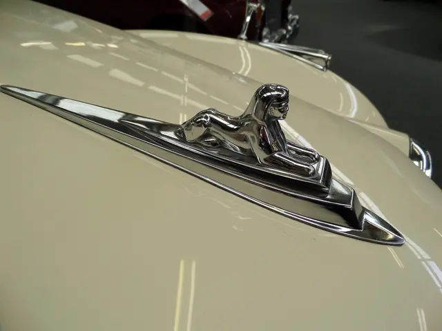 Tour Kicks Off for Volkswagen's ID.Buzz Cargo Van Model