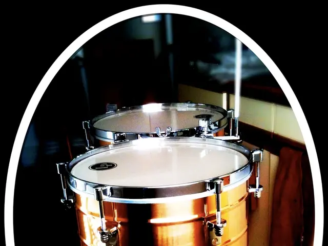 Synth Gurdy's Hurdy-posting persists in the rise of Balfolk culture