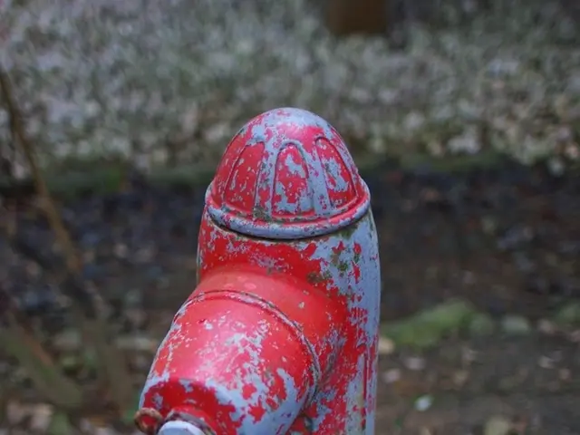 Modern Gadgets: Weighing the Advantages and Disadvantages of Chemical and Mechanical Filtration...