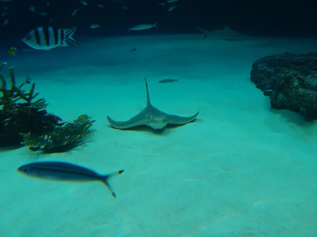 China constructs data center beneath the sea