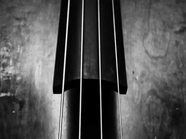 Investigating 127.0.0.1:62893: delving into Localhost, ports, and common applications