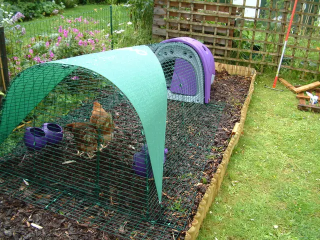 Harvesting Success: Crazy Crops Gains Traction via Sequential Development