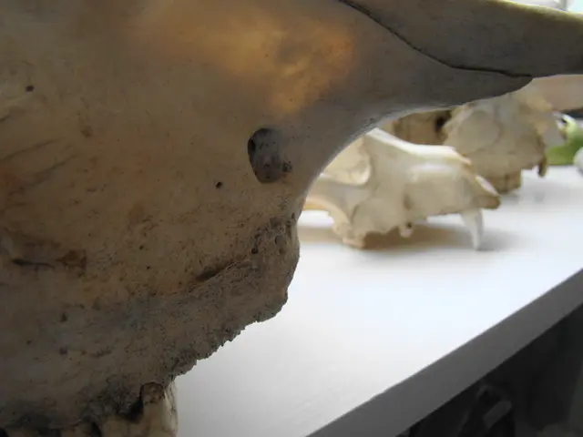 Helical Focusing: Unveiling My Insights