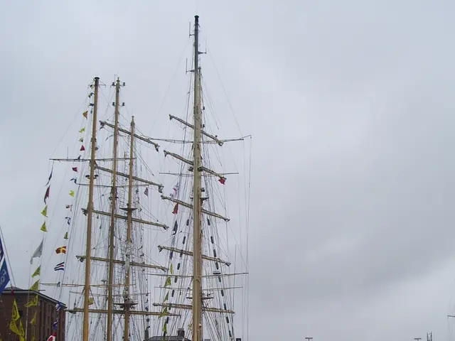 Services focused on handling and managing data, including data storage, data retrieval, and data...