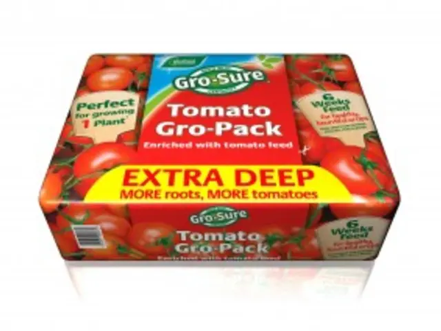 Instructions for Setting Up VirtualBox on a Windows System