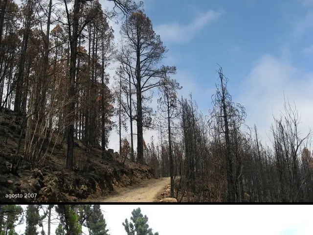 Transferring Images from Google Drive to Google Photos