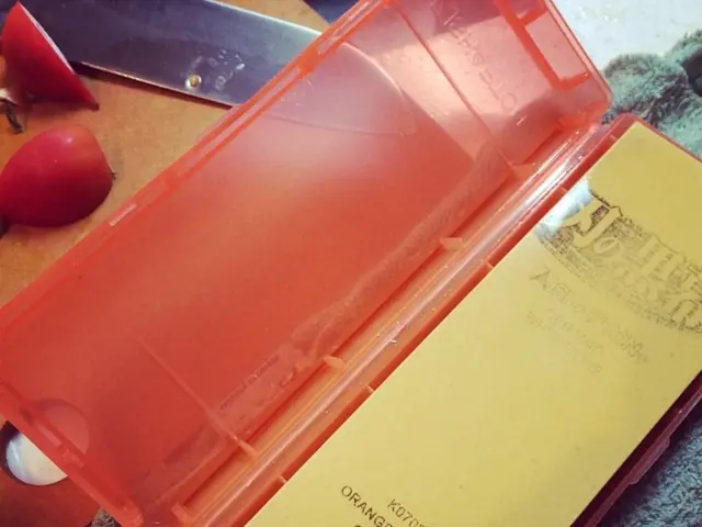 Proposal Approved for a Regulation on Establishing Rules in the Commission