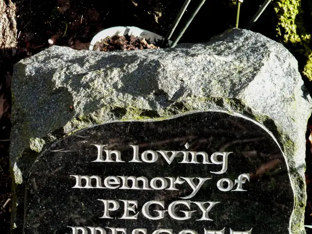 Ancient Stone Artifacts Suggest Human Presence in Tropical Rainforests Occurred 150,000 Years Ago,...