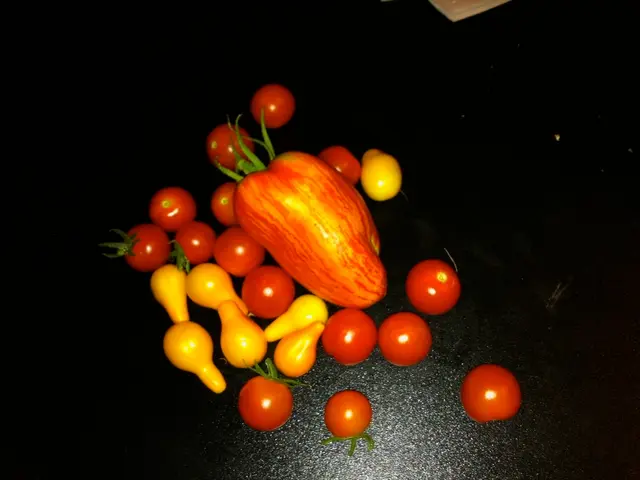 Slot Games Centered Around Fruits