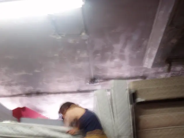 Ubuntu 25.10 sees the revival of TPM encryption, courtesy of Canonical