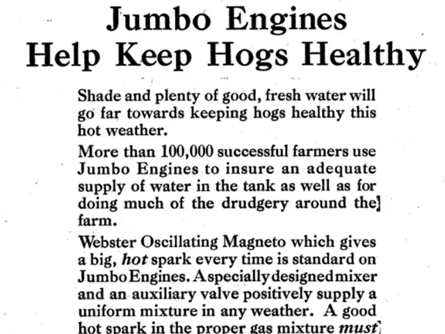 Investigating the Advancements and Predicted Paths for Machine Learning: New Developments and...