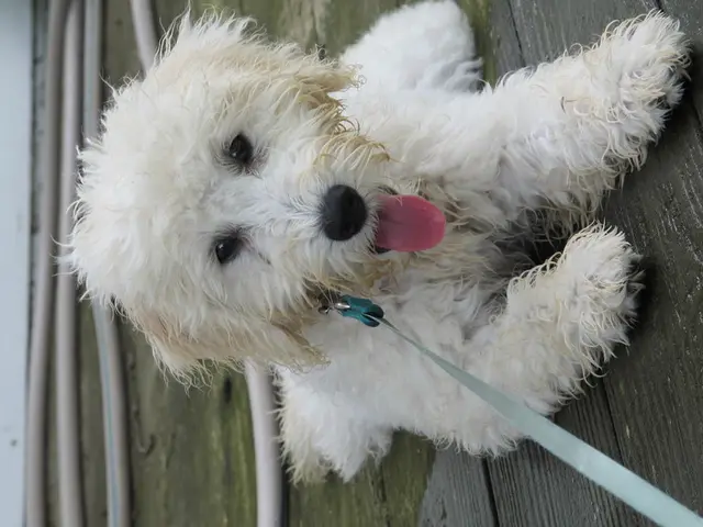 Sekisui Chemical advances in manufacturing PFAS-free pipes for high-purity processes in the...