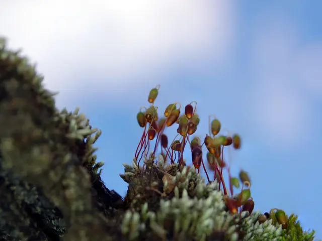 Asteroid crash site imageries from DART spacecraft, now visible on our website, aim to strengthen...