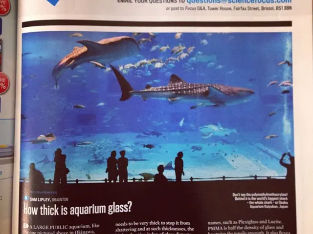 Commercial and recreational fishermen experience expanded fishing opportunities for Red Grouper due...