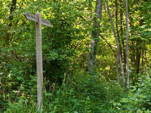 Discovering the Art of C Programming Through Lisp Mastery