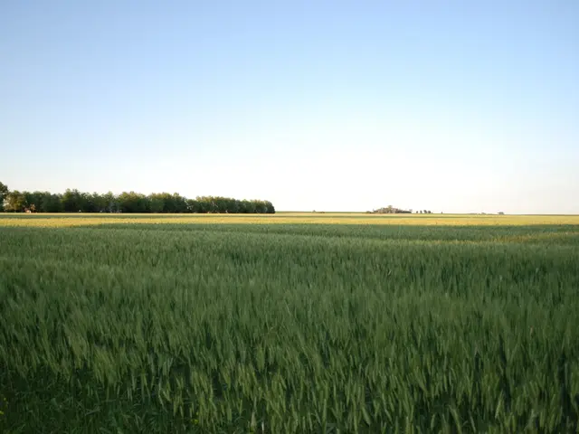 HP Enterprise distributed a $25 million dividend to an Irish company in June.