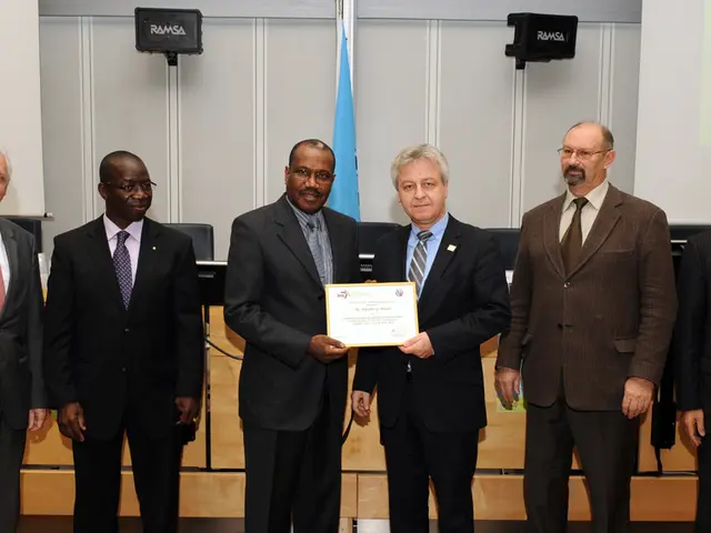 Explanation of a Source Code Expert Witness: Crucial Functions Highlighted