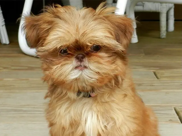 Groundbreaking advancements in artificial intelligence imaging significantly enhance tumor...