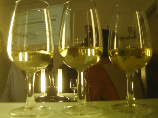 Preference for traditional optical viewfinders over electronic counterparts in a DSLR, due to the...