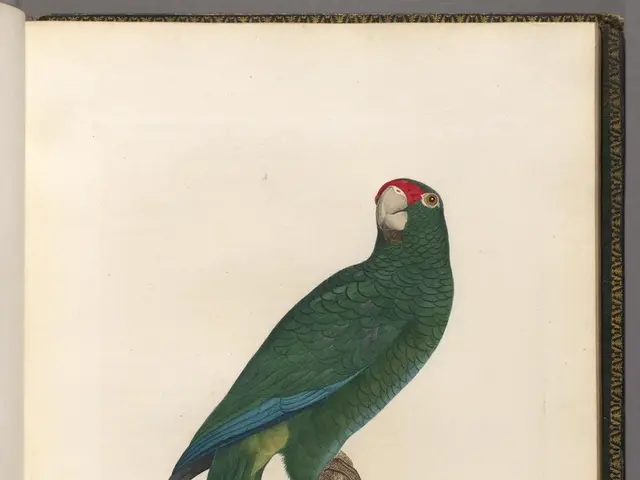 PhilippiansVerse 4:6, the Most Shared Scriptural Passage in the Year 2024