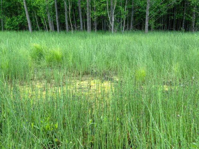 Agriculture Tokenization Kick-Off in China Marks Historic Event