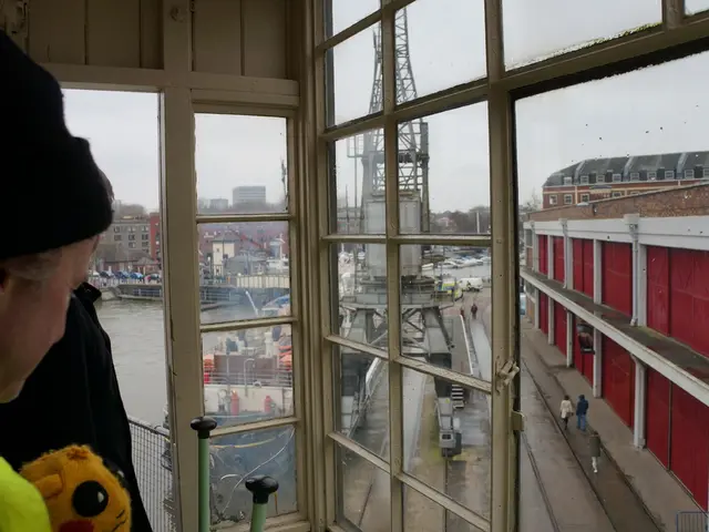 WordPress Technical Assistance Specialist