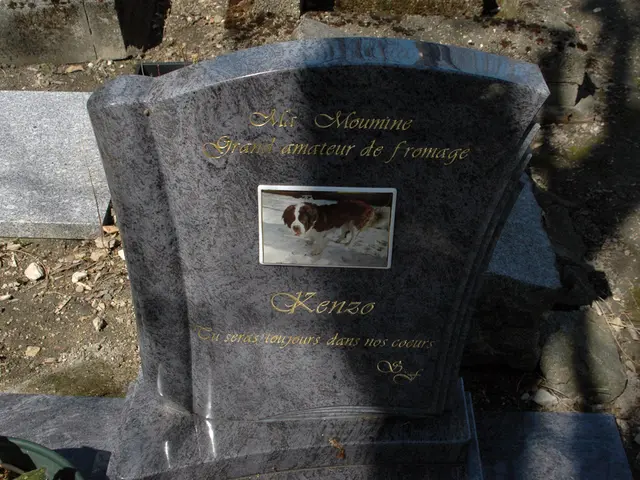 New update for Doom: The Dark Ages introduces a 'Ripatorium,' allowing players to construct their...