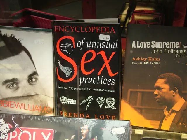 Creating an Interactive E-book: A Guide