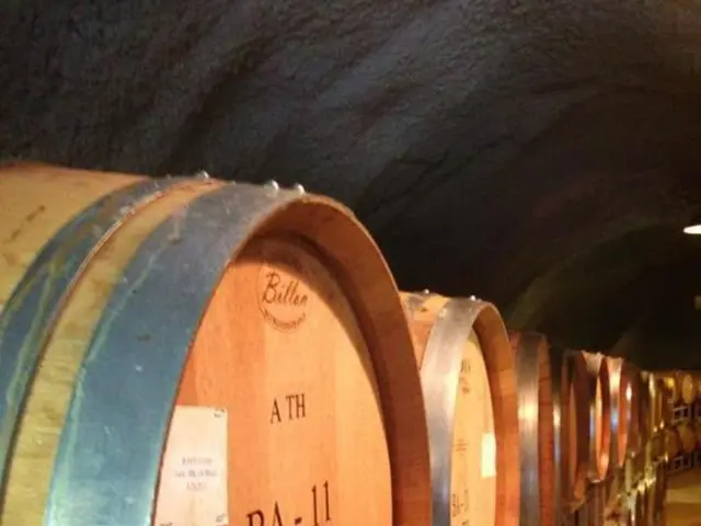 Oil Industry's Potential Integration with Blockchain and Cryptocurrencies