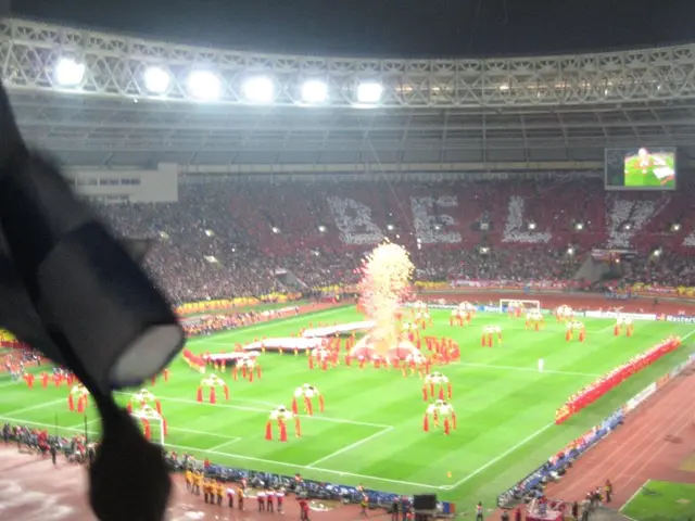 Competition in the realm of electronic sports: unwavering dedication