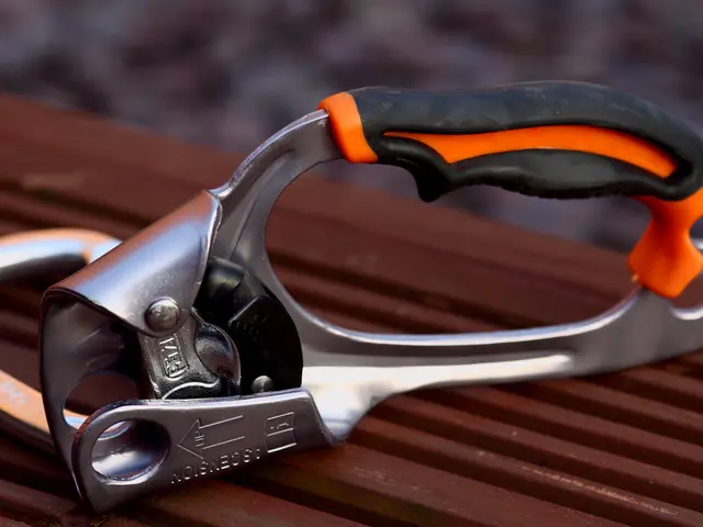 Ten Indicators of Excessive Negativity in Your Surroundings: Identifying and Managing Them