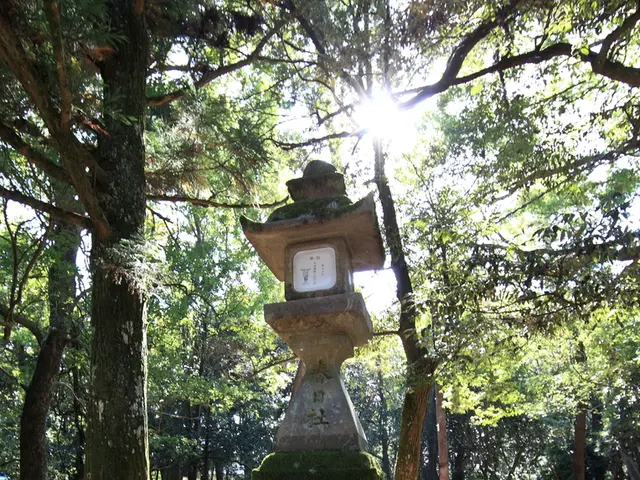 Enhanced Fiordland Wildlife Hunting Application Emphasizing Safety Measures