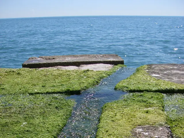 Investment Firm Temasek Trust Commits $11.6 Million to Equatic, Funding Expansion of Carbon...