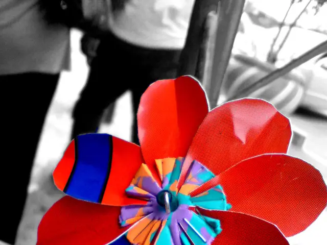 Constructing Innovative Social Networks within the Web3 Realm