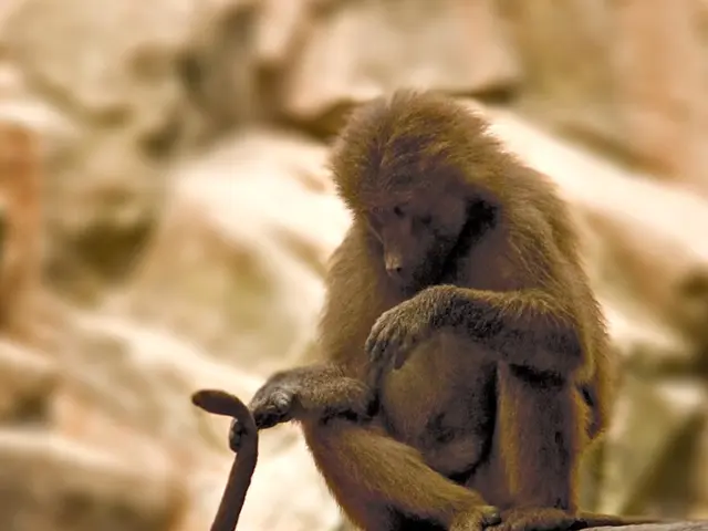 World leads in embracing digital payments as Nigeria witnesses a 59% increase over the past decade