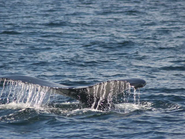 Examining the Influence of a $1.34 Billion Cryptocurrency Purchase by a Major Investor on Ethereum...