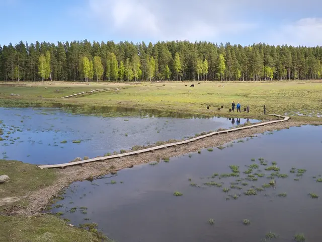 Cloud Computing Explained: A Practical Example