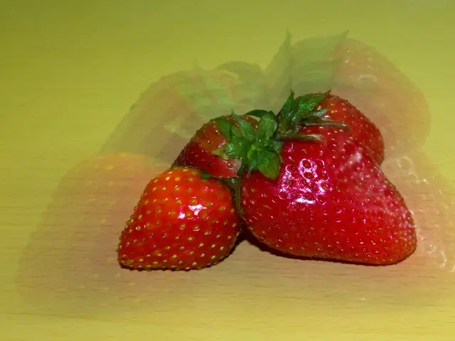 Automated Strawberry Gathering: Utilizing Robots for Agricultural Relief in Farms