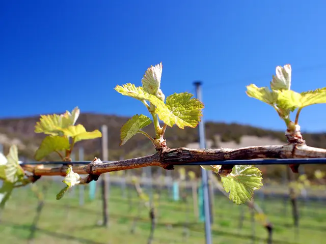 Protective Strategies for Repelling Ransomware Infiltrations (7 Methods Revealed)