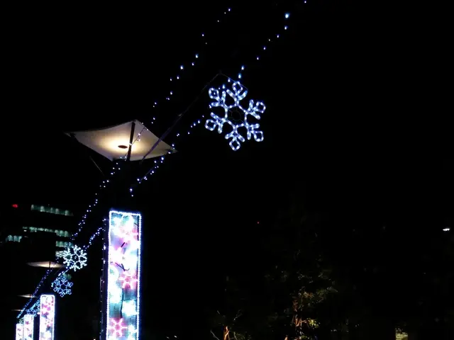 Researchers at a U.S. laboratory trace 76,000 lightning radio signals to show the path of energy...